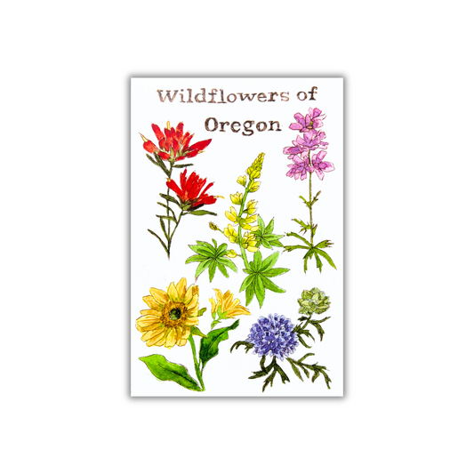 Wildflowers of Oregon Postcard