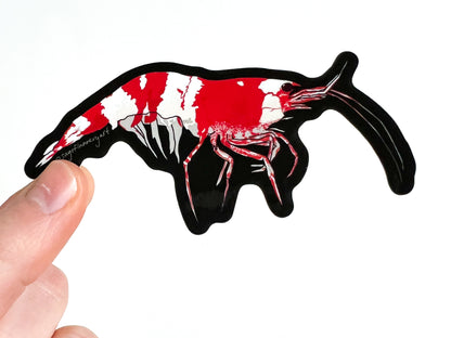 Crystal Red Shrimp Sticker