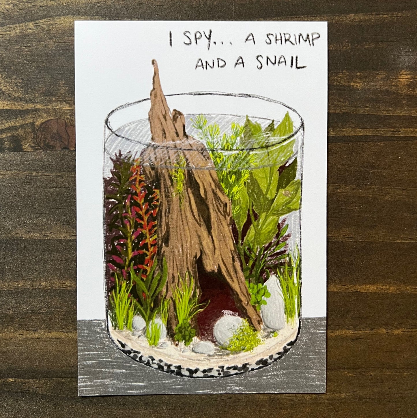 I Spy Planted Aquarium Postcard