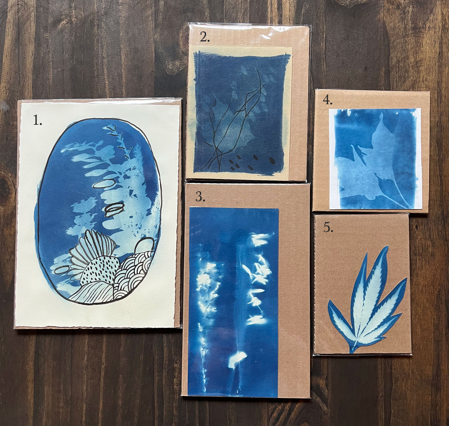 Cyanotypes (Solar Prints)