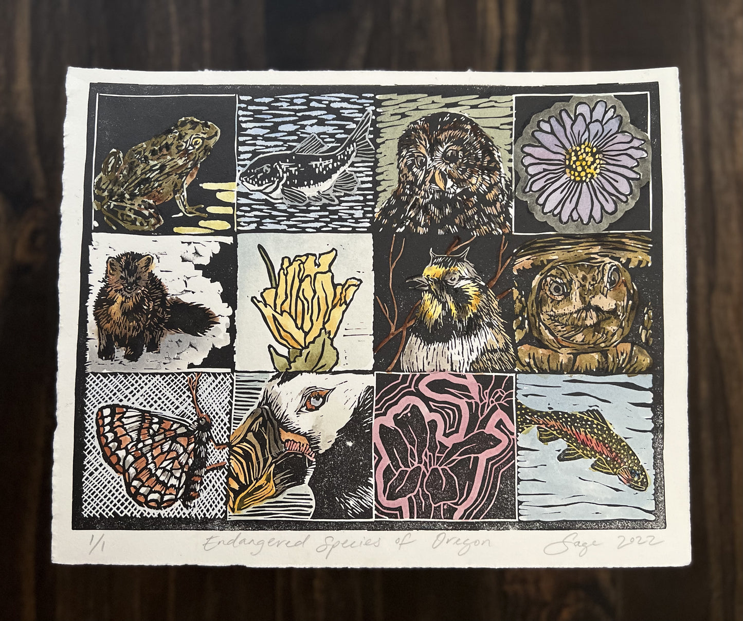 Endangered Species of Oregon - Handmade Print