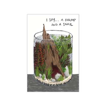 I Spy Planted Aquarium Postcard