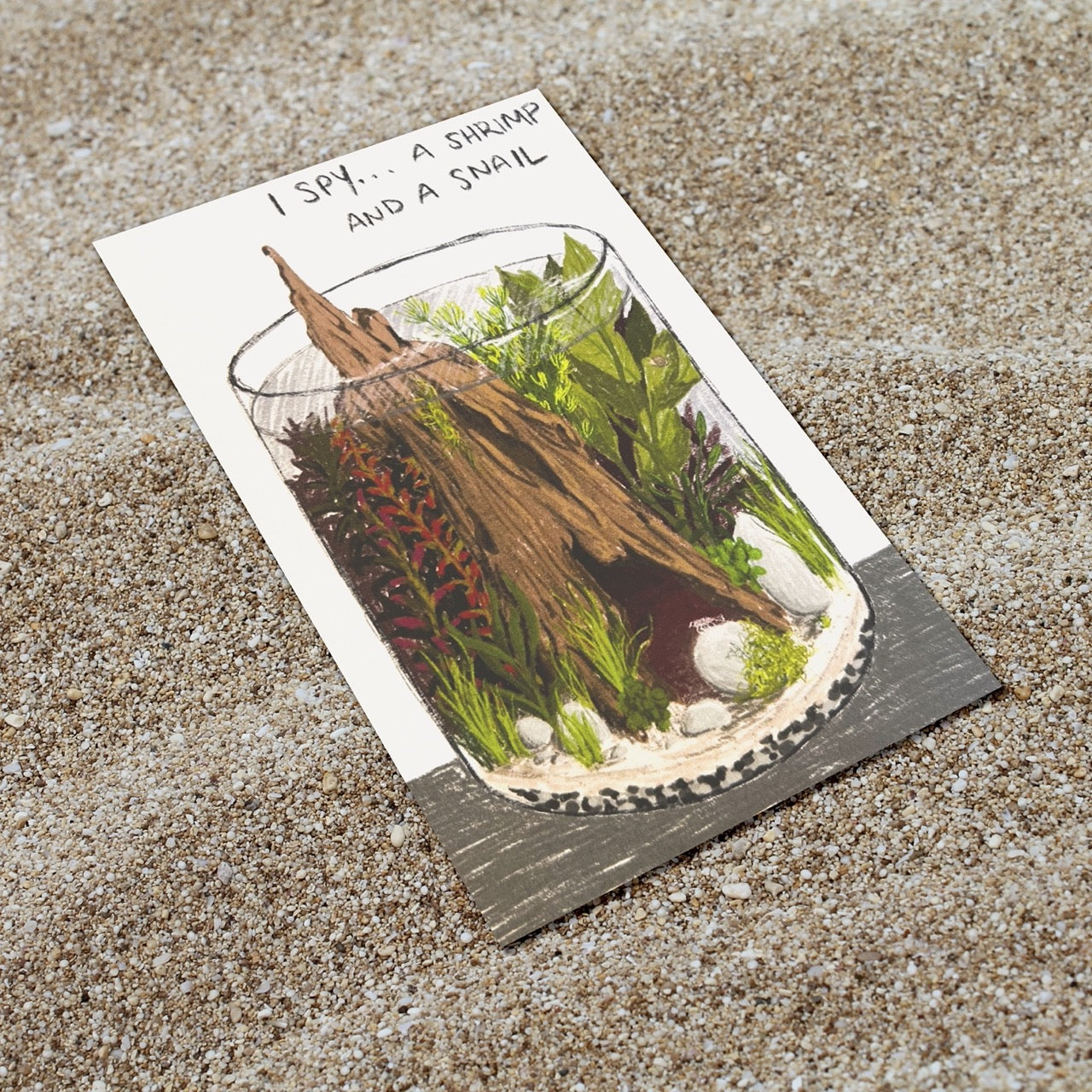 I Spy Planted Aquarium Postcard