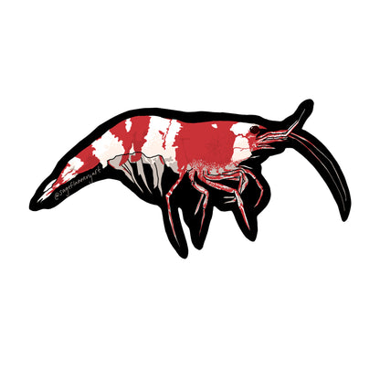 Crystal Red Shrimp Sticker